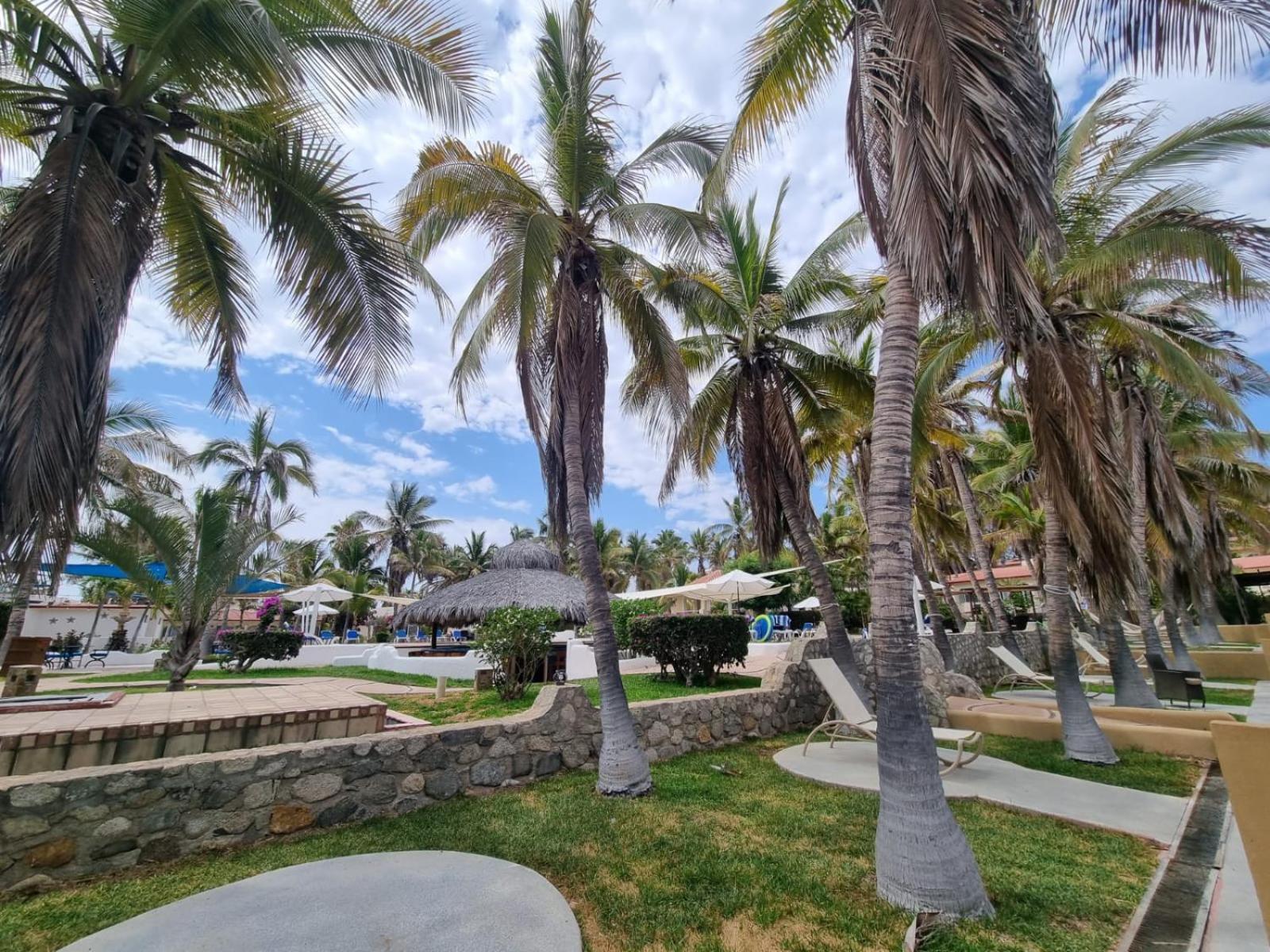 Buena Vista Oceanfront & Hot Springs Resort Buenavista  エクステリア 写真